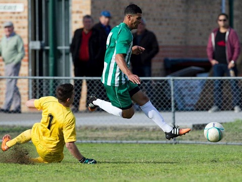 11251159_834376453278056_5464201918748401406_n