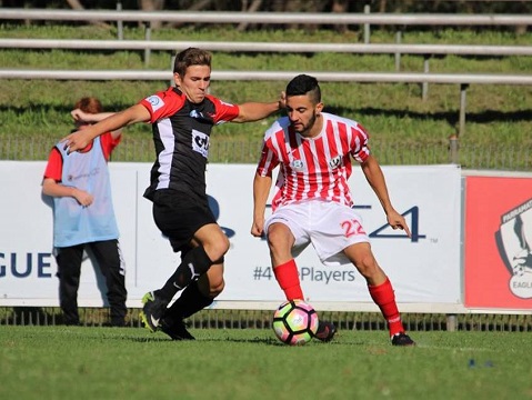 17203258_1593176474045526_4872394385433083453_n_01