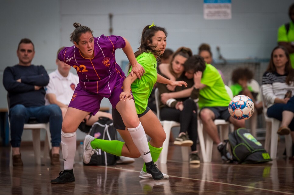 70960076_2306449389423834_5157171251843694592_o