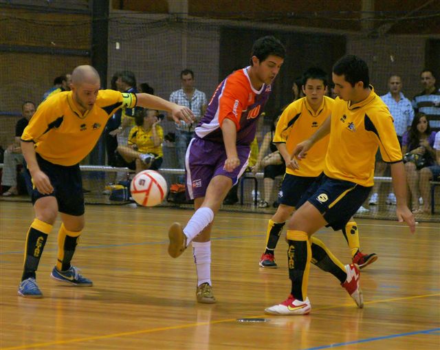 SONY DSC SONY DSC