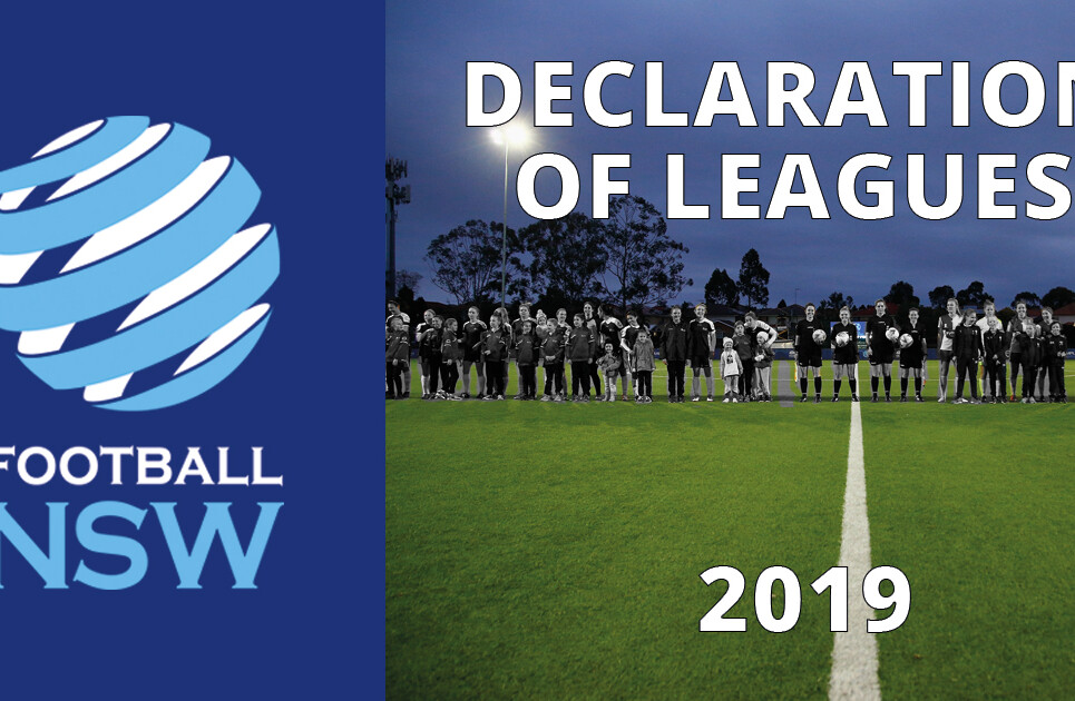 Declaration-of-Leagues-2019-1