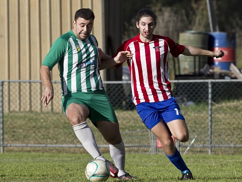 2015 Men's State League 2: Round 5 action between Western Condors and FC Gazy Lansvale at Calabria Sports Ground (photo: Damian Briggs)