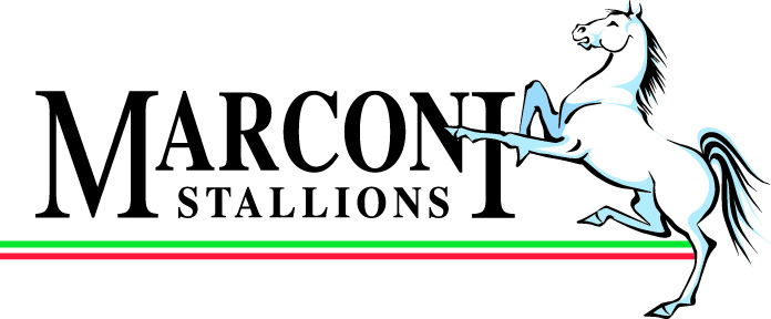 Marconi_Stallions_Logo