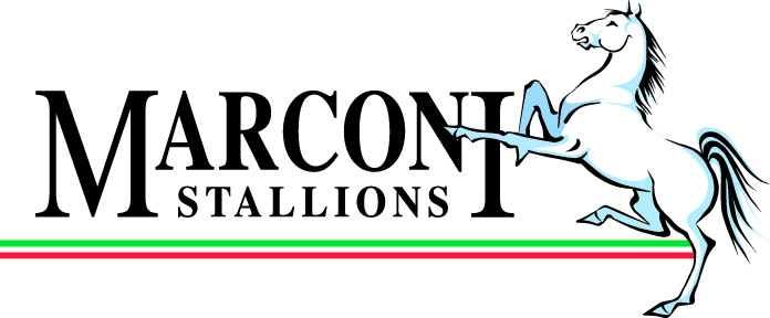 Marconi_Stallions_Logo_06