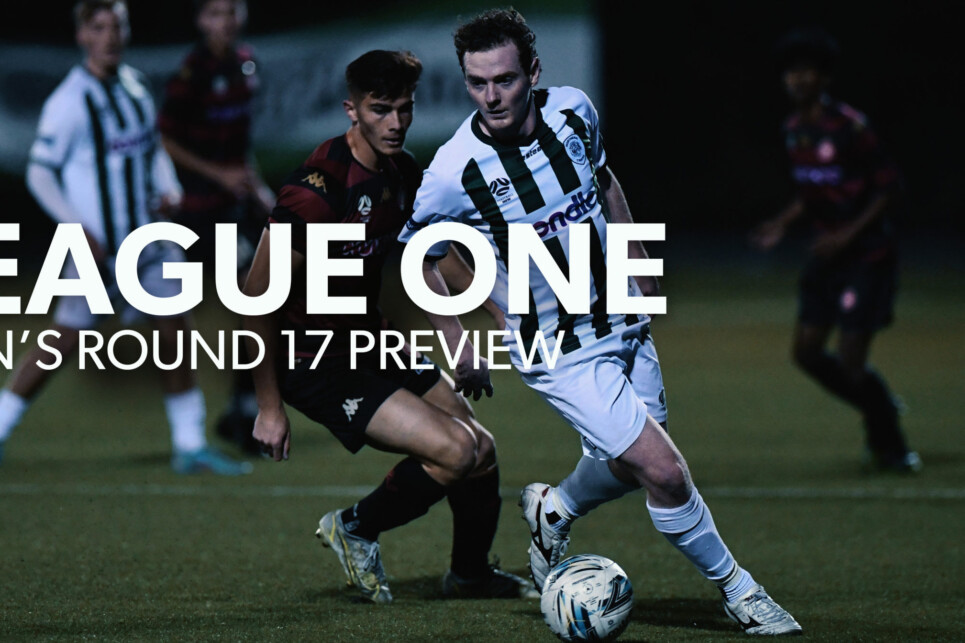 Preview_L1M-R17-scaled