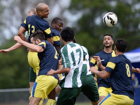 nswpl279__1
