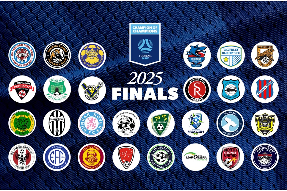 ChampofChamps-965x634