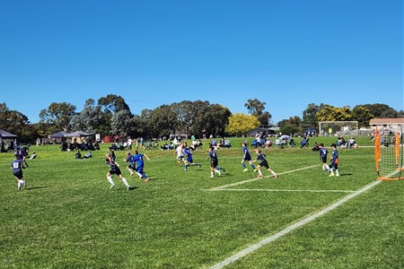 a group of people playing football on a field