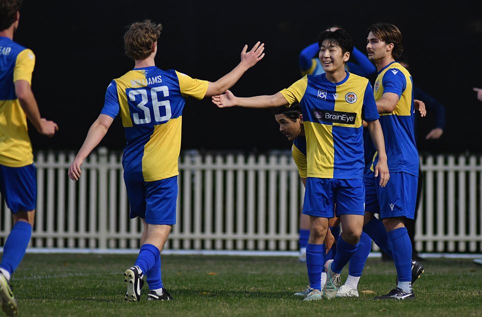 new article banner (1)