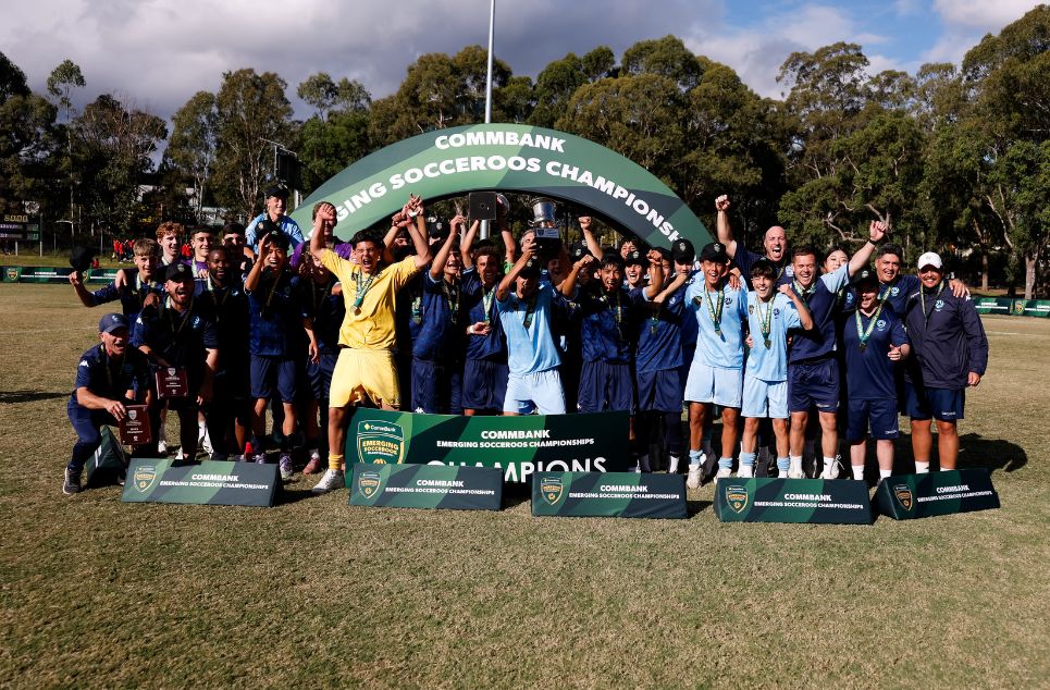 new article banner (2)